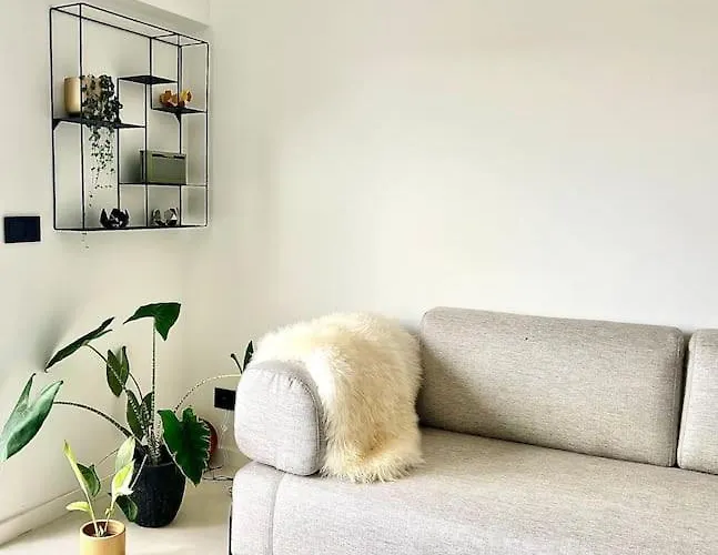 Santa Rita Sunset & * Масейра